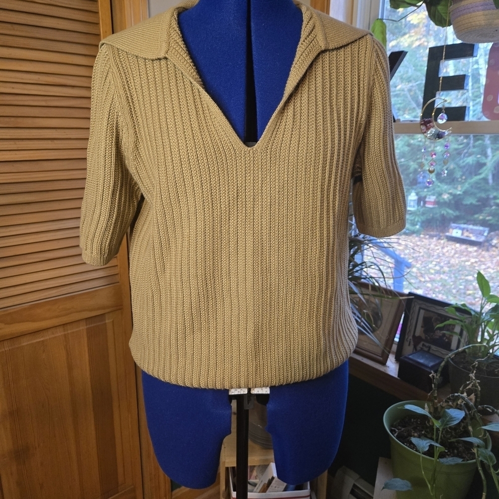 Banana Republic Tan Ribbed Short Sleeve Sweater - Picture 6 of 6
